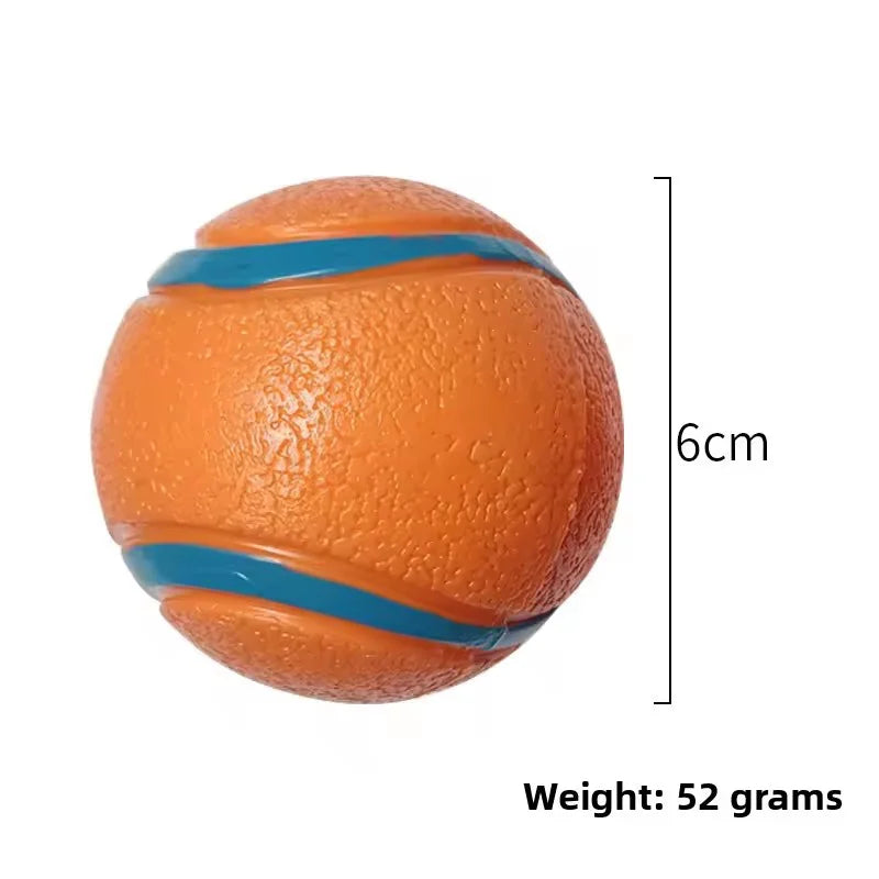 Durable Squeaky Chew Resistant Chasing Toy