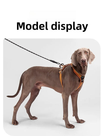 Dog Harness with Dual Handle