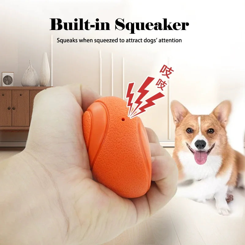 Durable Squeaky Chew Resistant Chasing Toy