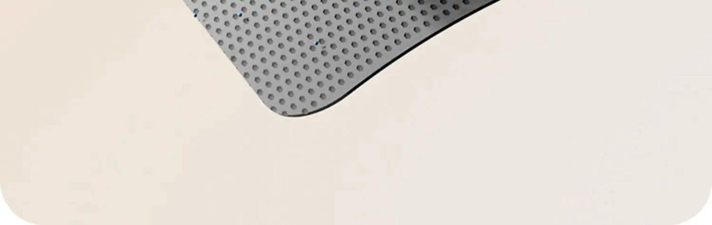 Cat Litter Mat 2-Layer Design