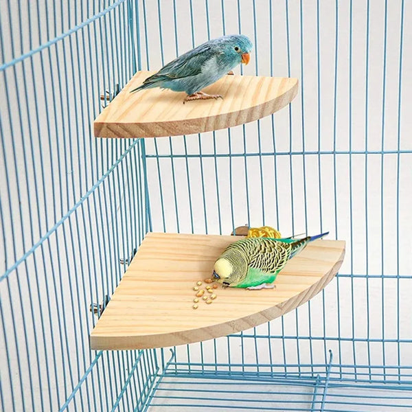 Parrot Bird Wood Perch Stand