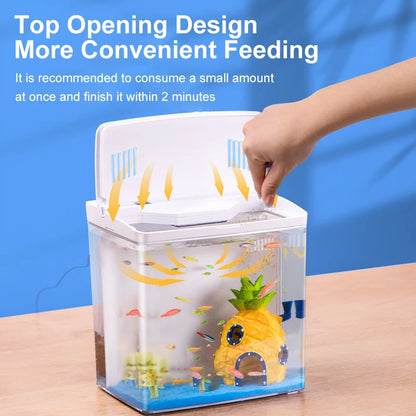 Mini Fish tank