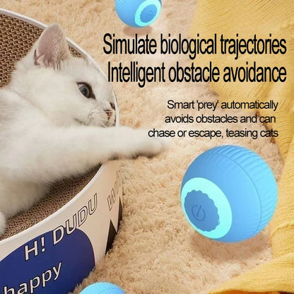 Automatic Indoor Cat Toy