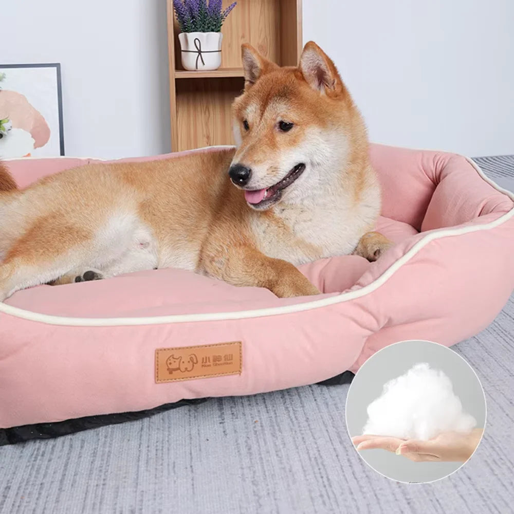 Sofa Sleeping Bed