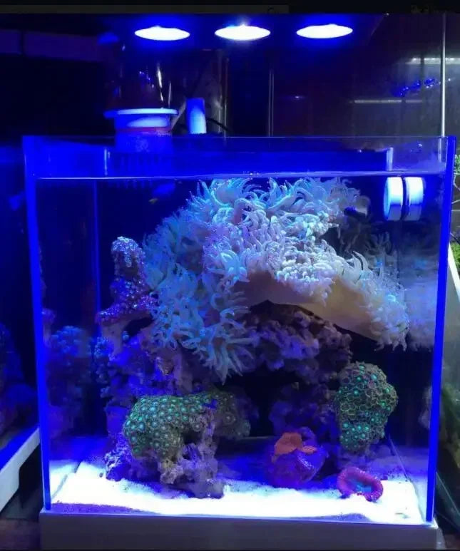 Full Spectrum LED Lamp for Aquarium Fish Tank