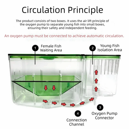 Transparent Aquarium Breeder Box