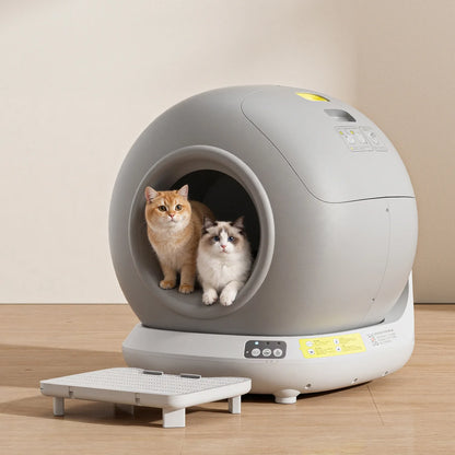 Self Cleaning Cat Litter Box