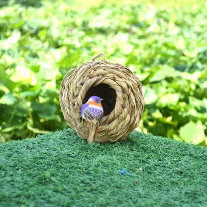 Egg Cage Bird House