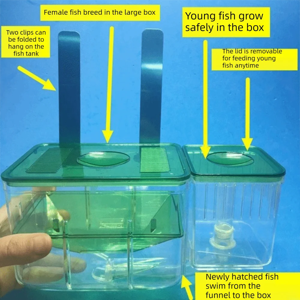 Transparent Aquarium Breeder Box