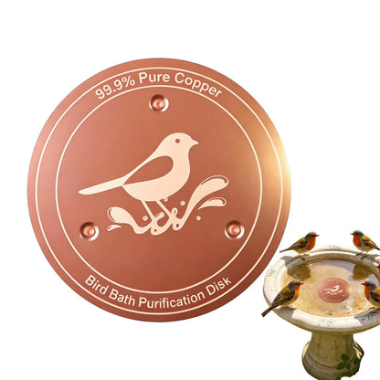 Bird Bath Copper Disk