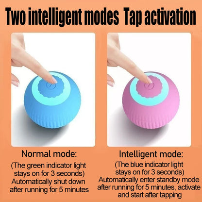 Automatic Indoor Cat Toy