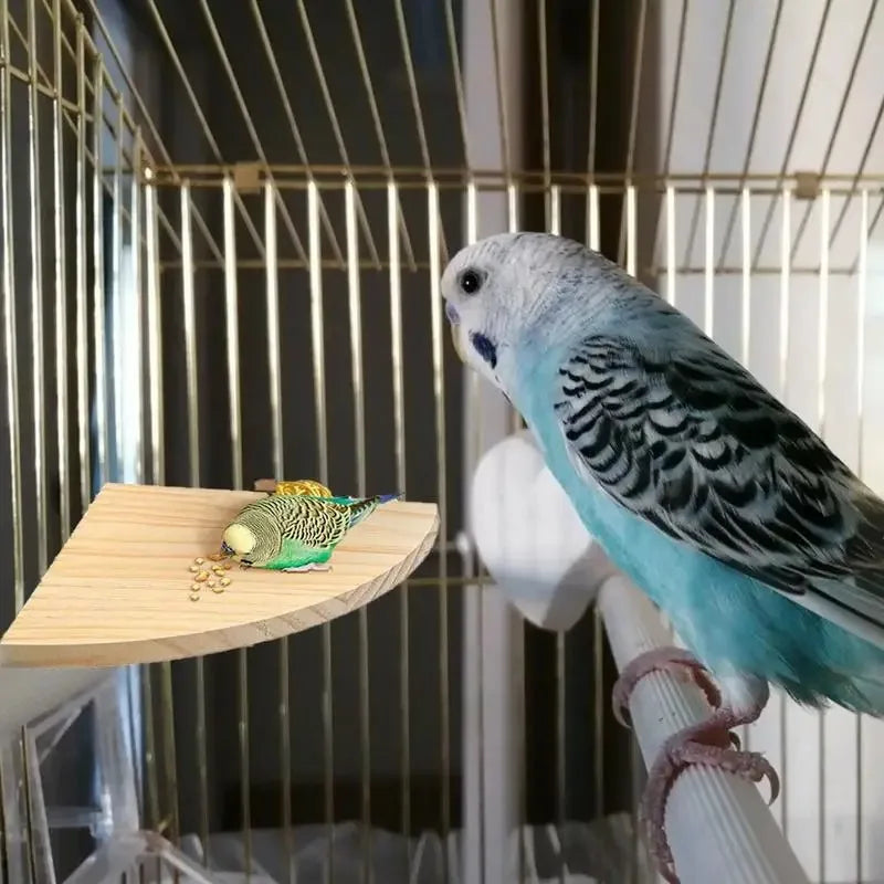 Fan-shaped Parrot Wooden Stand Rack