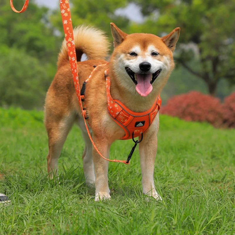 Big Dog Harness Reflective
