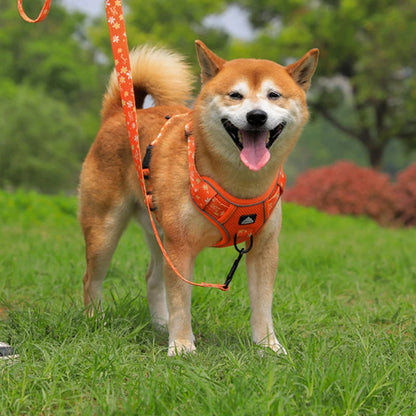 Big Dog Harness Reflective
