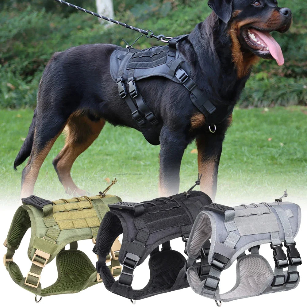 Harness And Collar For Medium Large Dogs