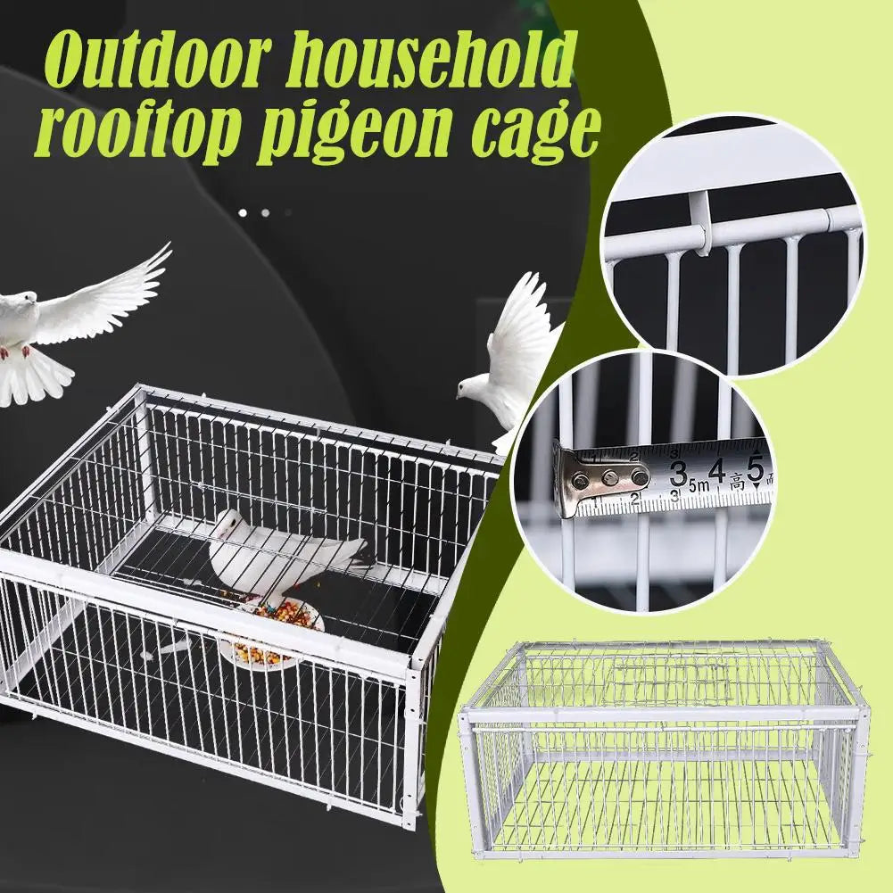 Auto Trap Bird Cage