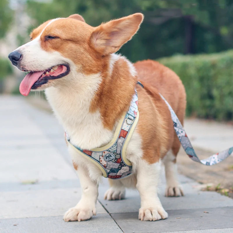 X-Shaped Harness and Leash Set