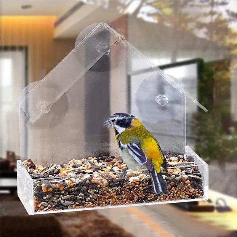 House Transparent Window Wild Bird Feeder