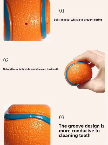 Durable Squeaky Chew Resistant Chasing Toy