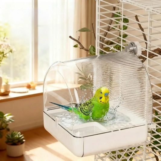 Splash Proof Food Holder Box