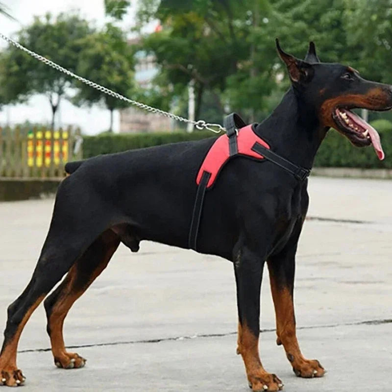 Large Dog Walk Out Harness