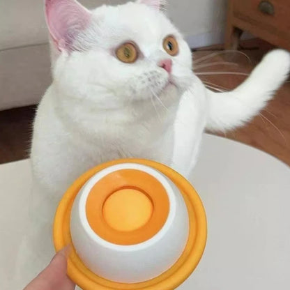 Cat Food Bowl