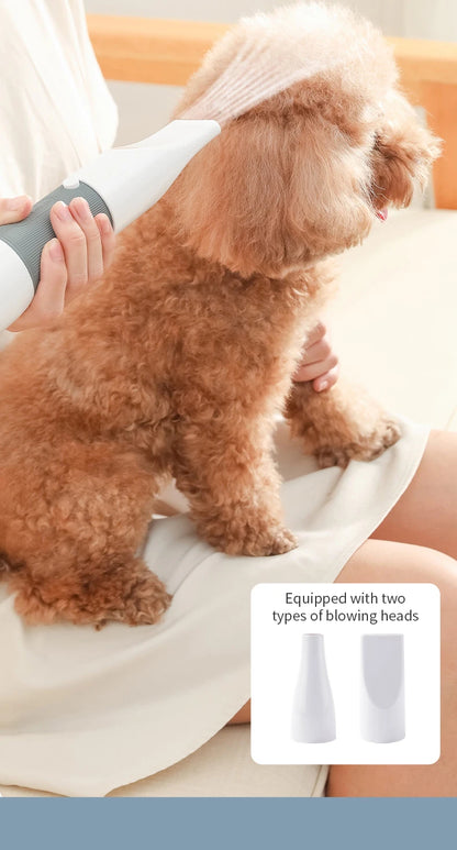 Quiet Dog Hair Dryers and Comb