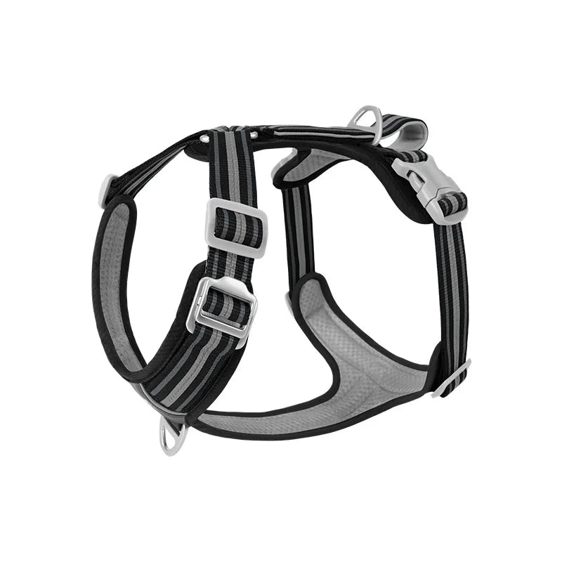Dog Harness with Dual Handle