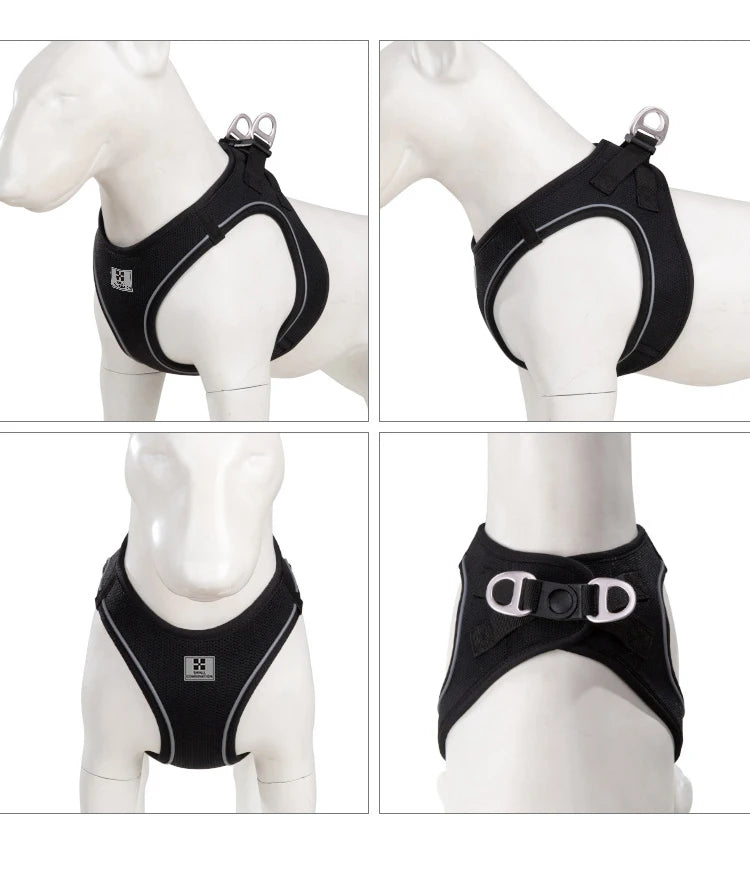 Dog Harness Leash Set
