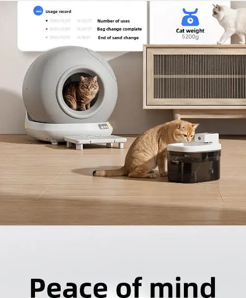 Self Cleaning Cat Litter Box