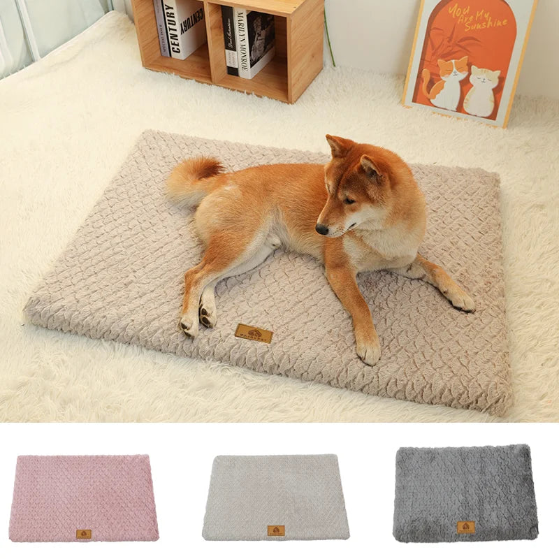 3D Foam Pet Bed With Removable Washable
