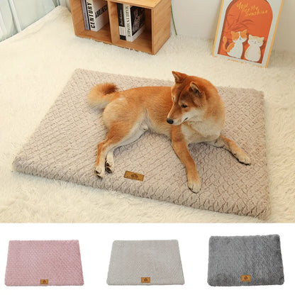 3D Foam Pet Bed With Removable Washable