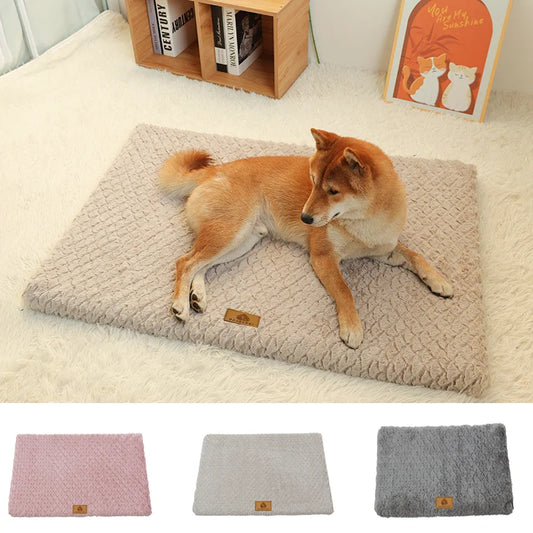 3D Foam Pet Bed With Removable Washable