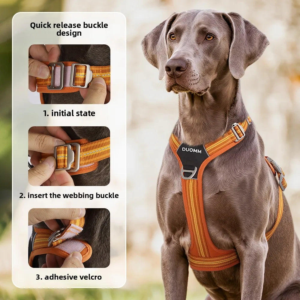 Dog Harness with Dual Handle