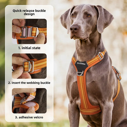 Dog Harness with Dual Handle
