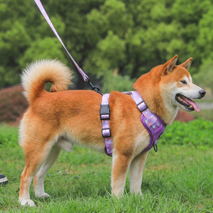 Big Dog Harness Reflective