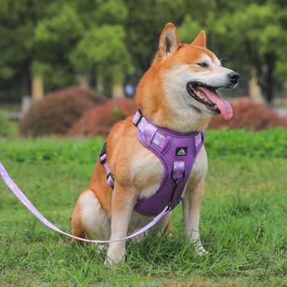 Big Dog Harness Reflective