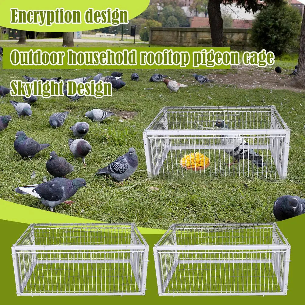 Auto Trap Bird Cage