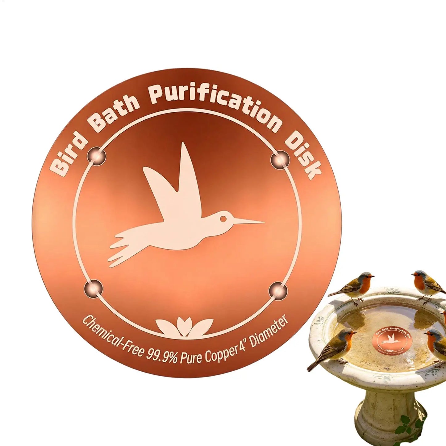 Bird Bath Copper Disk