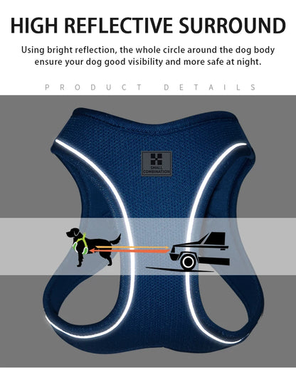 Dog Harness Leash Set