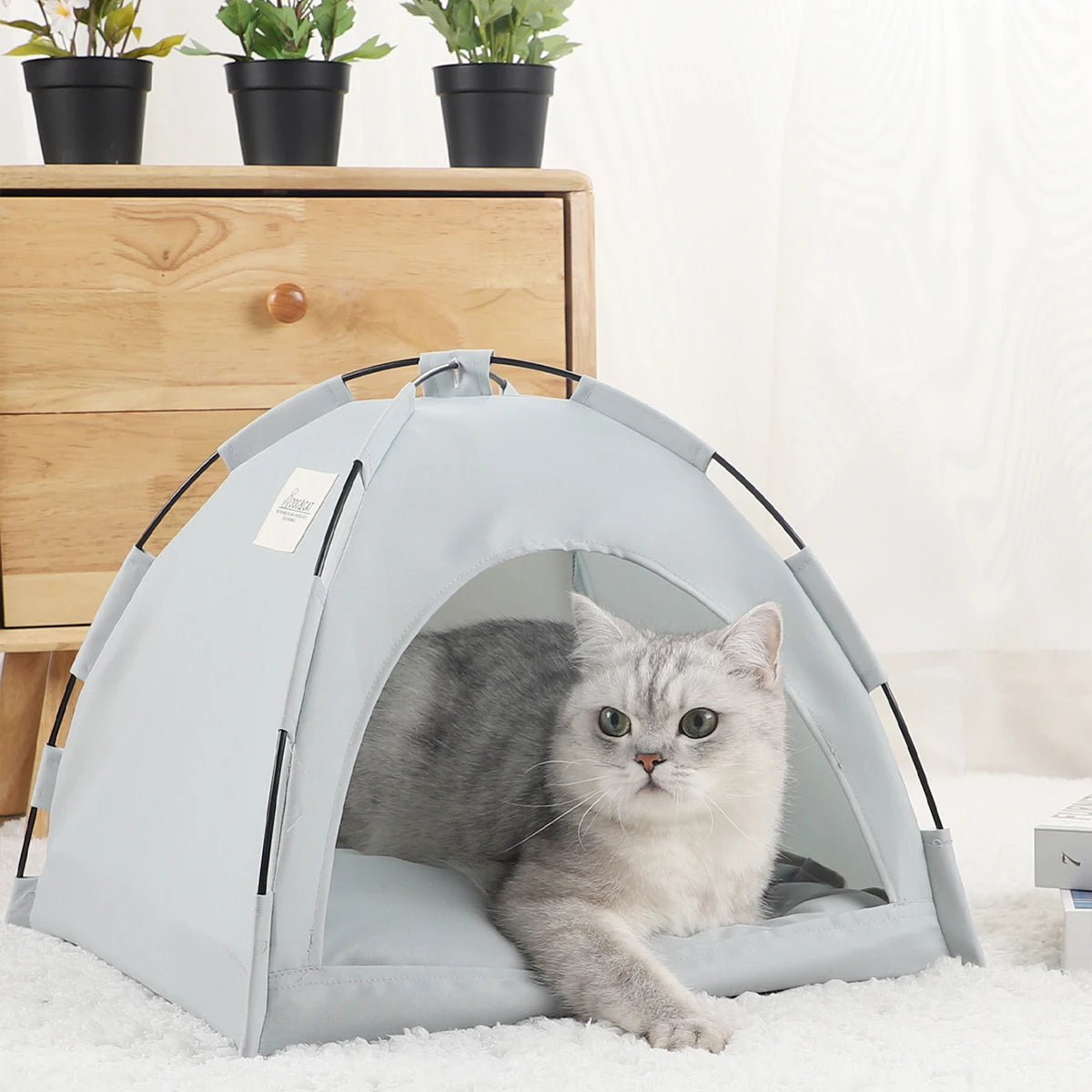 Tent Bed Cats