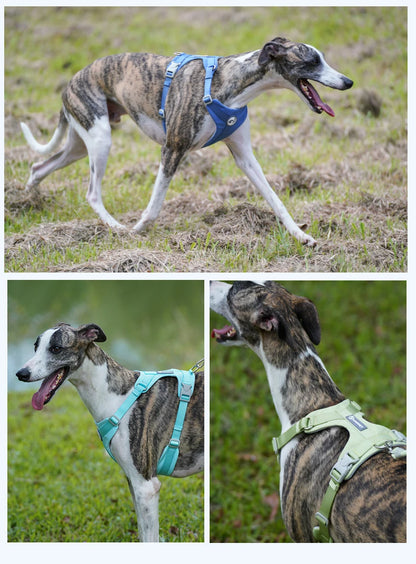Dog Breathable Harness NO PULL