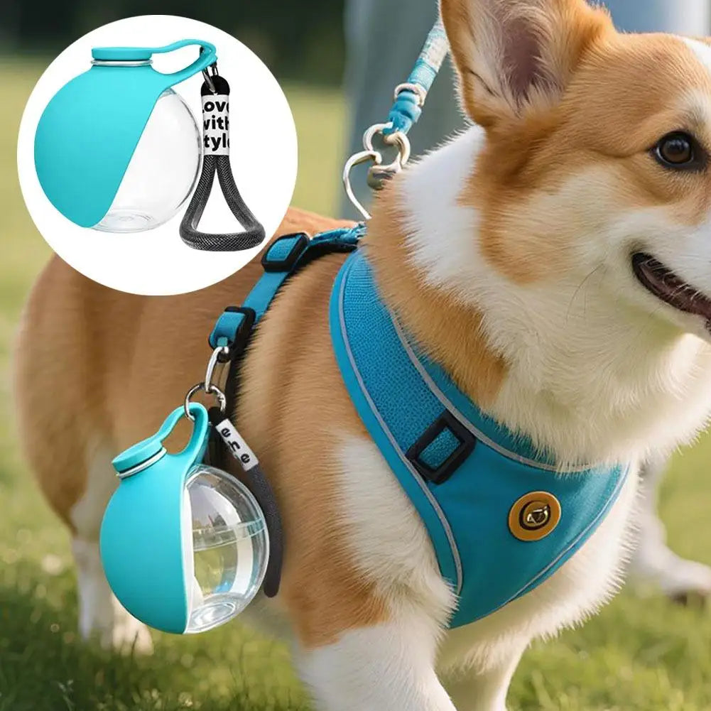 Pet Drinking Silicone Bowl