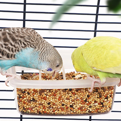 Parrot Feeder Drinker Bird