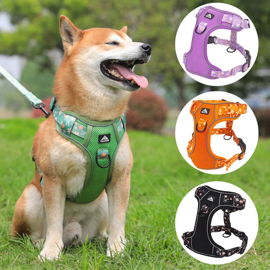 Big Dog Harness Reflective