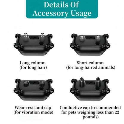 Digital Dog Training Collar