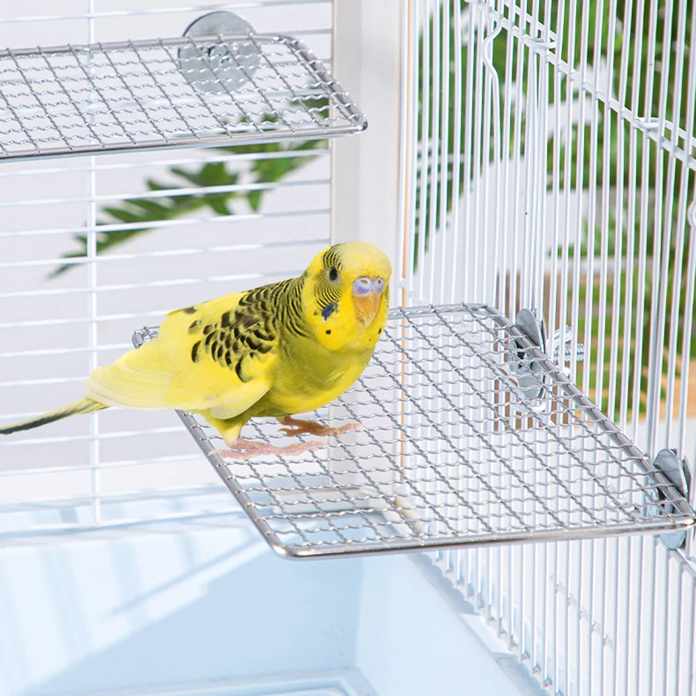 Versatile Stainless Steel Parrot Perch Toy