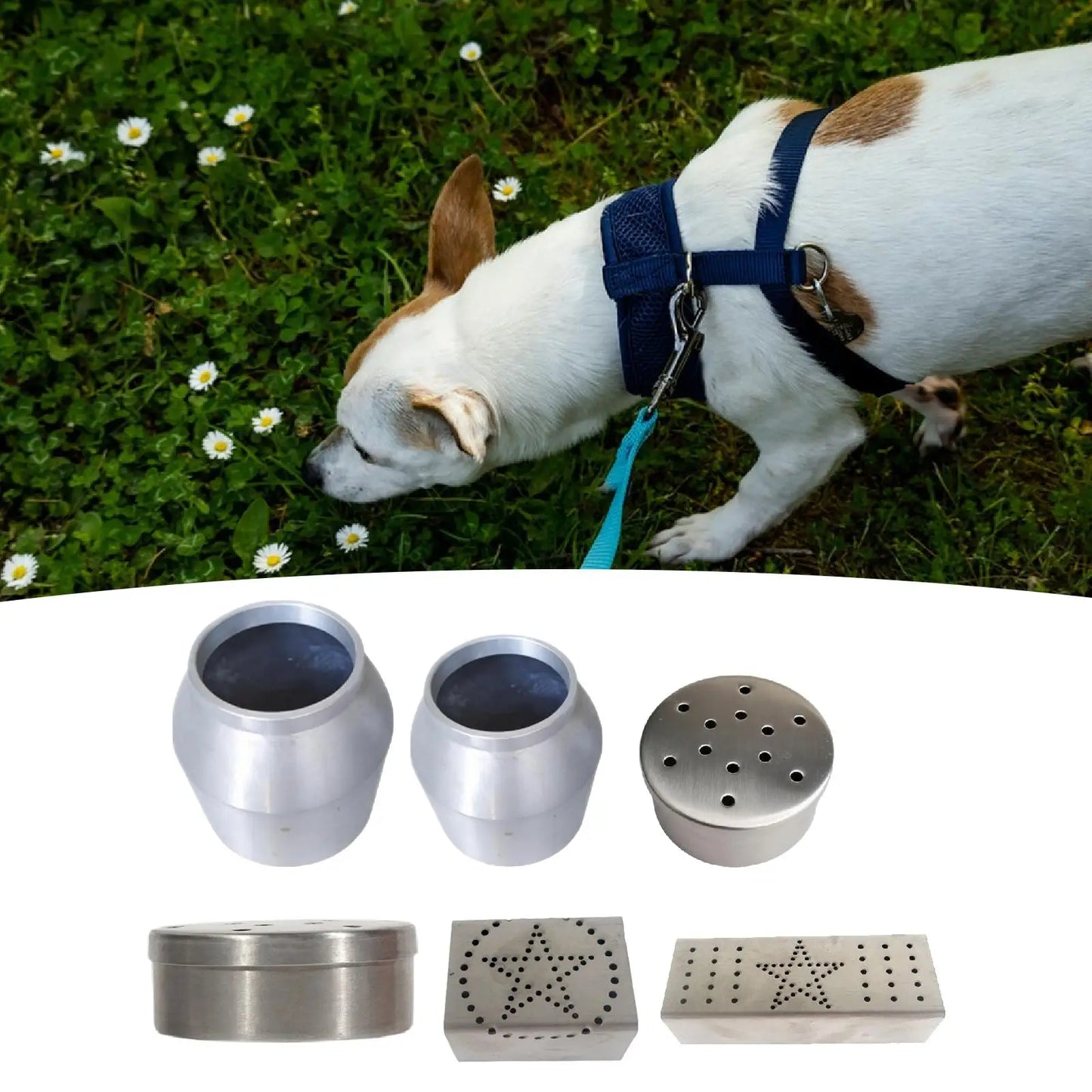 Dog Scent Training Box