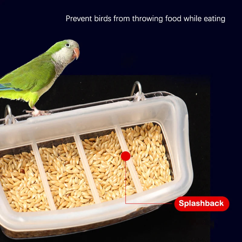 Parrot Feeder Drinker Bird