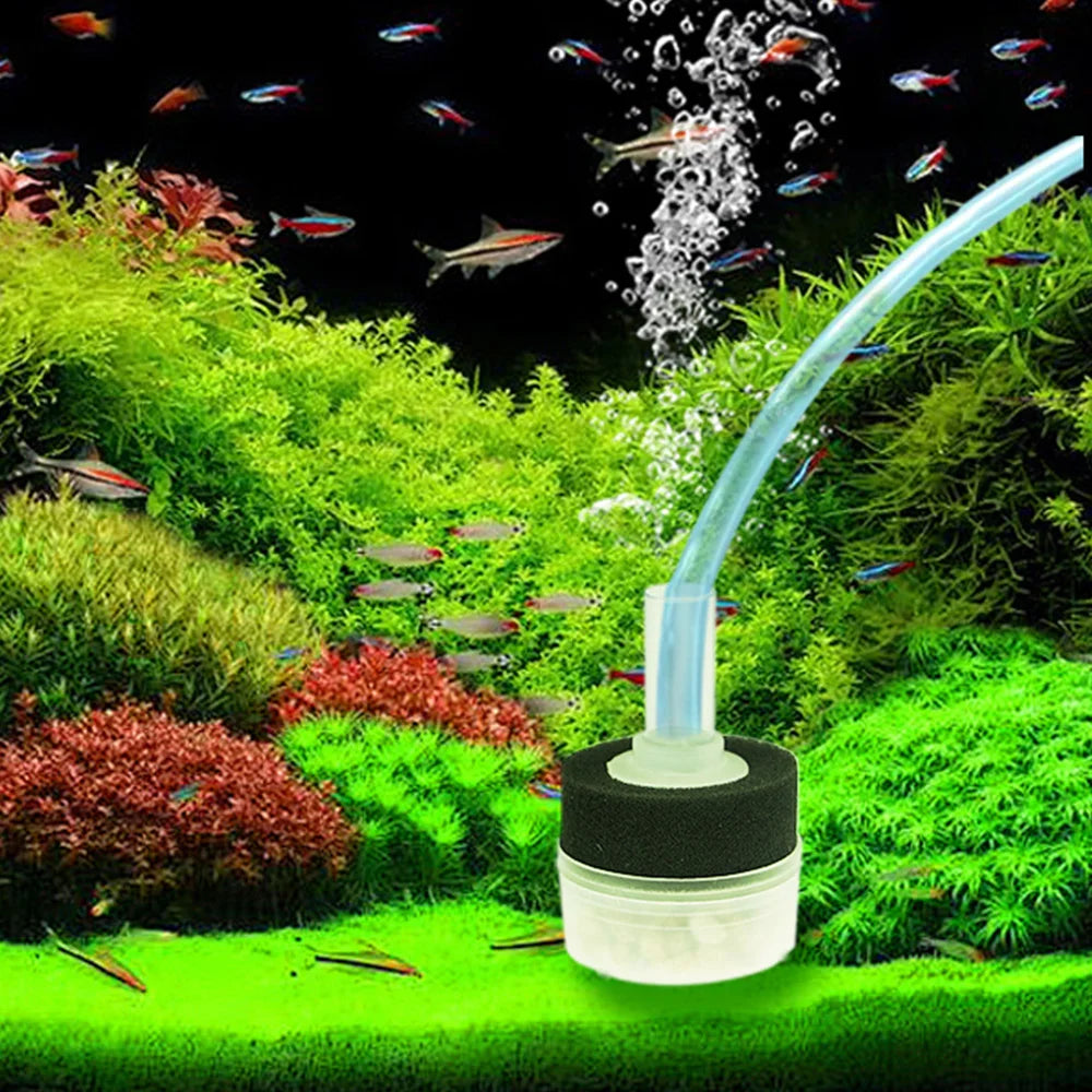 Small Aquarium Filter Fish Tank